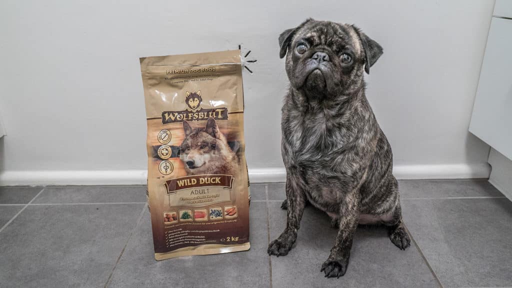 hundefutter einweichen Alleskönner | Das Insekten Hundefutter | Trockenfutter main image 0