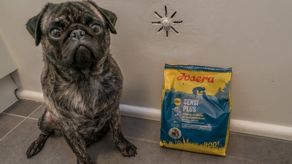 Josera Hundefutter Test 2026: Bewertung & Erfahrungen