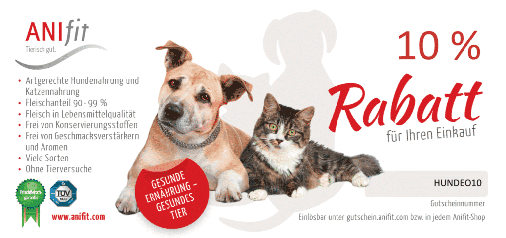 hundegeschirr leder große hunde Das Aztec-Ledergeschirr für große Hunde von Bestia besteht zu 100 % aus  echtem Leder – Bestia Collars main image 1