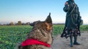 Eine Person in einem dunklen Mantel und geblümtem Rock steht auf einem Feldweg in einer grünen Wiese und hebt die Hand. Ein Hund mit einem roten Halstuch blickt zu ihr auf und ist bereit, den Anweisungen seines Besitzers aus der 4-Schritte-Anleitung zu folgen. Der Himmel ist klar und blau.