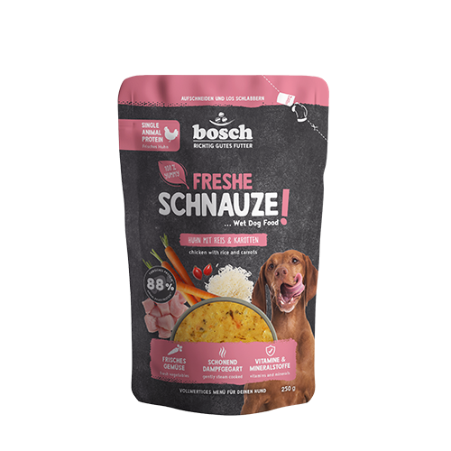 hundespielzeug quietschend Hundespielzeug Dinosaurier Kau Spielzeug kaufen main image 1