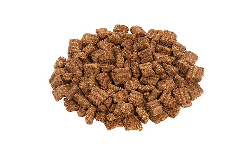 Reico Hundefutter Test 2026: Bewertung & Erfahrungen